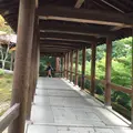 東福寺の写真_204525