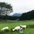 月廻り公園の写真_204666