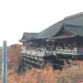 清水寺の写真_204822