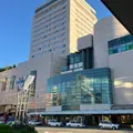 徳島駅の写真_2049216