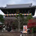 金戒光明寺の写真_205297