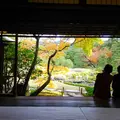 無鄰菴庭園の写真_205300
