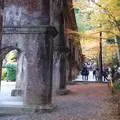 水路閣の写真_205328
