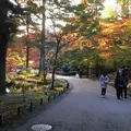 東山動物園の写真_205378