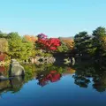 あがたの森公園の写真_205434