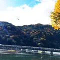 渡月橋の写真_205483