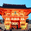 伏見稲荷大社の写真_205485