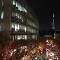 六本木けやき坂通りの写真_205498