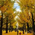 熊本県の写真_205516