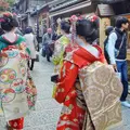 ねねの道の写真_206027