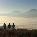 大観峰の写真_206914