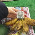 ゆいゆい国頭の写真_208517