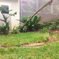 やヤンバルクイナ生態展示学習施設の写真_208943