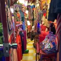 オニグンソーの写真_209252