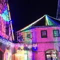 東京ドイツ村の写真_212742
