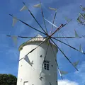 道の駅 小豆島オリーブ公園の写真_213094