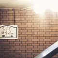 くるみの写真_213175