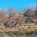 有栖川宮記念公園の写真_213446