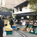 TENOHA & STYLE STORE (テノハ代官山)の写真_213461
