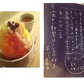 木と根の写真_213491