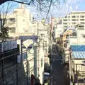 須賀神社の写真_213682