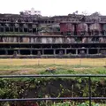 佐渡島の写真_213703