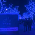 青の洞窟 SHIBUYAの写真_214138
