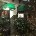 ネルケンの写真_214432