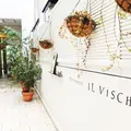 Il vischio イルヴィスキオの写真_214915