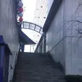 北谷稲荷神社の写真_215137