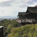 清水寺の写真_215141