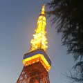 東京タワーの写真_215179