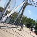 横浜汽車道の写真_215214