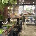 青山フラワーマーケット ティーハウス 南青山本店 （Aoyama Flower Market TEA HOUSE）の写真_215468