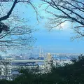 港の見える丘公園の写真_215735