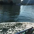 隅田川の写真_215795