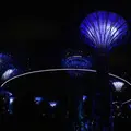 ガーデンズ・バイ・ザ・ベイの写真_215883