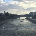 鴨川の写真_216207