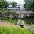 文庫の森の写真_216225