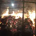 吉田神社の写真_216346