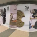 日本銀行金融研究所貨幣博物館の写真_216577