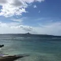 海洋博公園管理センター 沖縄美ら海水族館水族館事業課の写真_216592