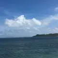 浜比嘉島の写真_216594