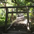 シルミチューの写真_216595