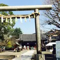 浅草神社（三社さま）の写真_216692
