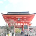 清水寺の写真_216746
