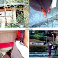 うかい竹亭の写真_216805