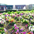 久留米市美術館の写真_216833