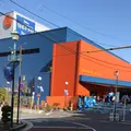 四季劇場〔夏〕の写真_216941