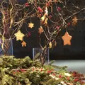 TODAY'S SPECIAL KITCHEN 自由が丘 （旧店名：TODAY'S TABLE）の写真_216990
